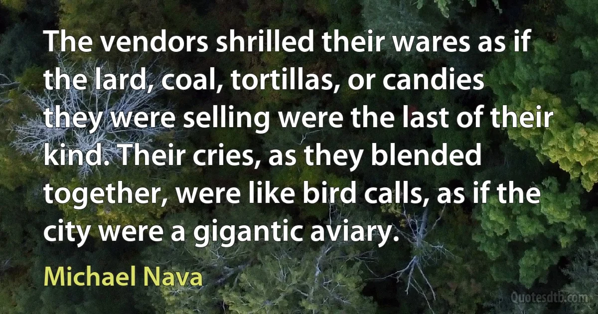 The vendors shrilled their wares as if the lard, coal, tortillas, or candies they were selling were the last of their kind. Their cries, as they blended together, were like bird calls, as if the city were a gigantic aviary. (Michael Nava)