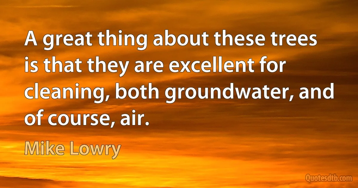 A great thing about these trees is that they are excellent for cleaning, both groundwater, and of course, air. (Mike Lowry)