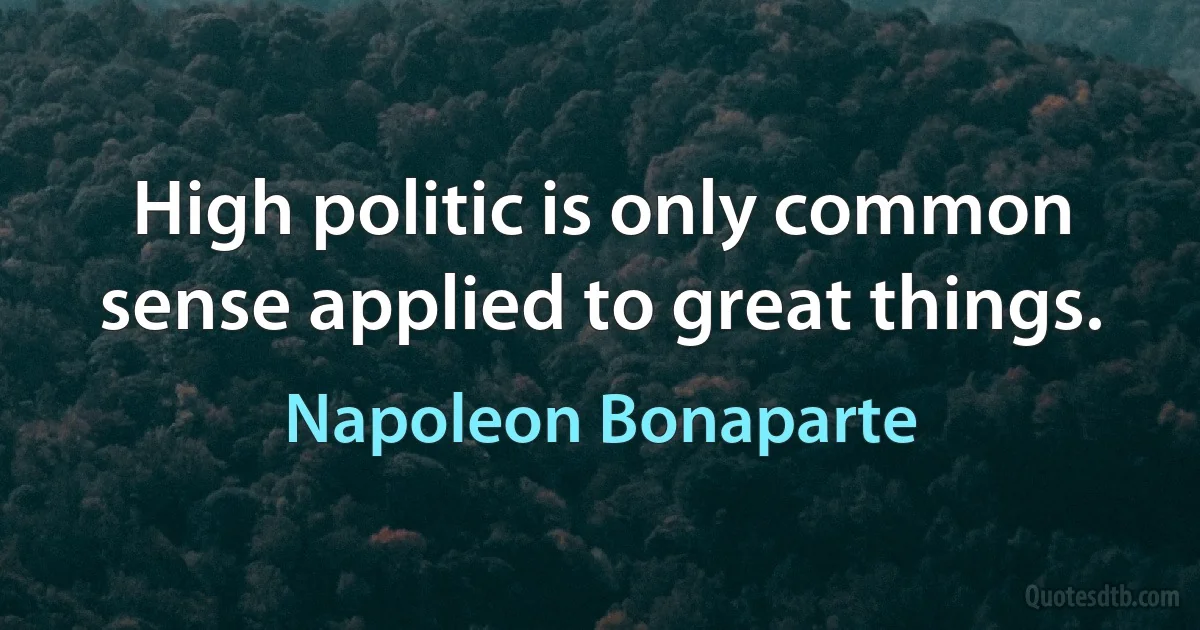 High politic is only common sense applied to great things. (Napoleon Bonaparte)