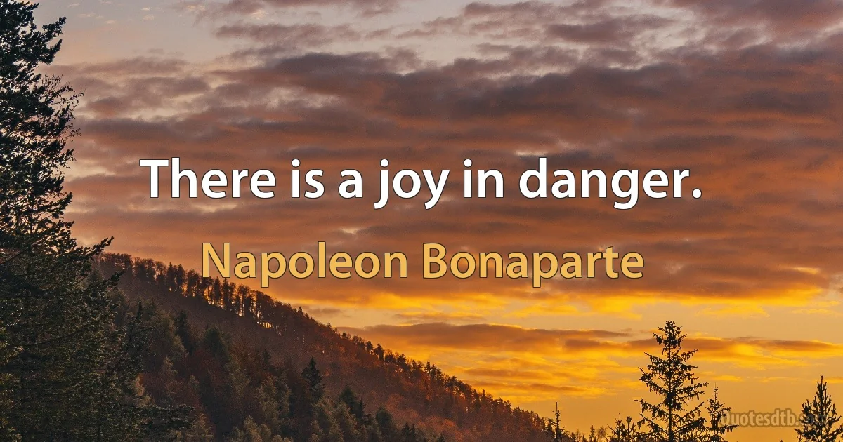 There is a joy in danger. (Napoleon Bonaparte)