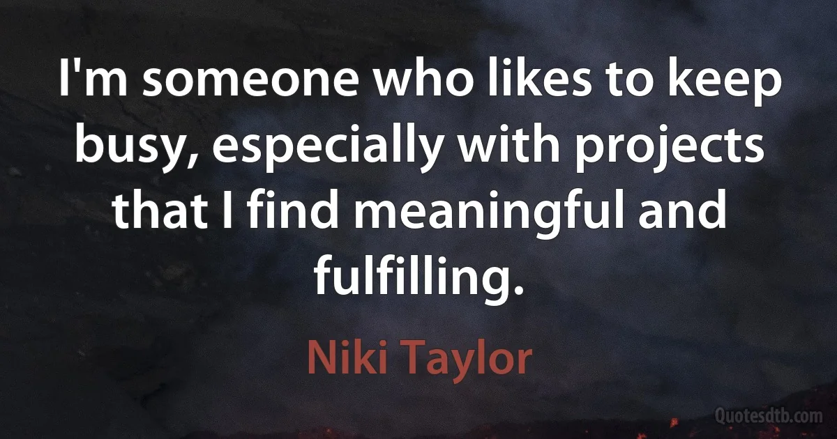 I'm someone who likes to keep busy, especially with projects that I find meaningful and fulfilling. (Niki Taylor)