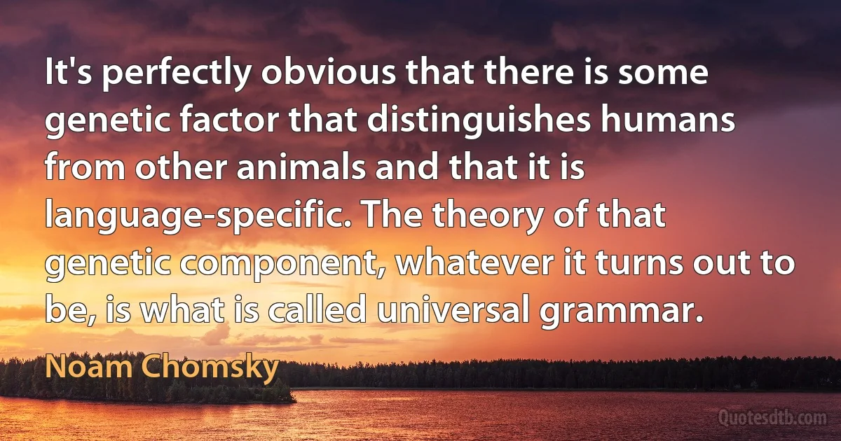 It's perfectly obvious that there is some genetic factor that distinguishes humans from other animals and that it is language-specific. The theory of that genetic component, whatever it turns out to be, is what is called universal grammar. (Noam Chomsky)