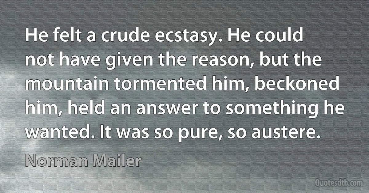 He felt a crude ecstasy. He could not have given the reason, but the mountain tormented him, beckoned him, held an answer to something he wanted. It was so pure, so austere. (Norman Mailer)