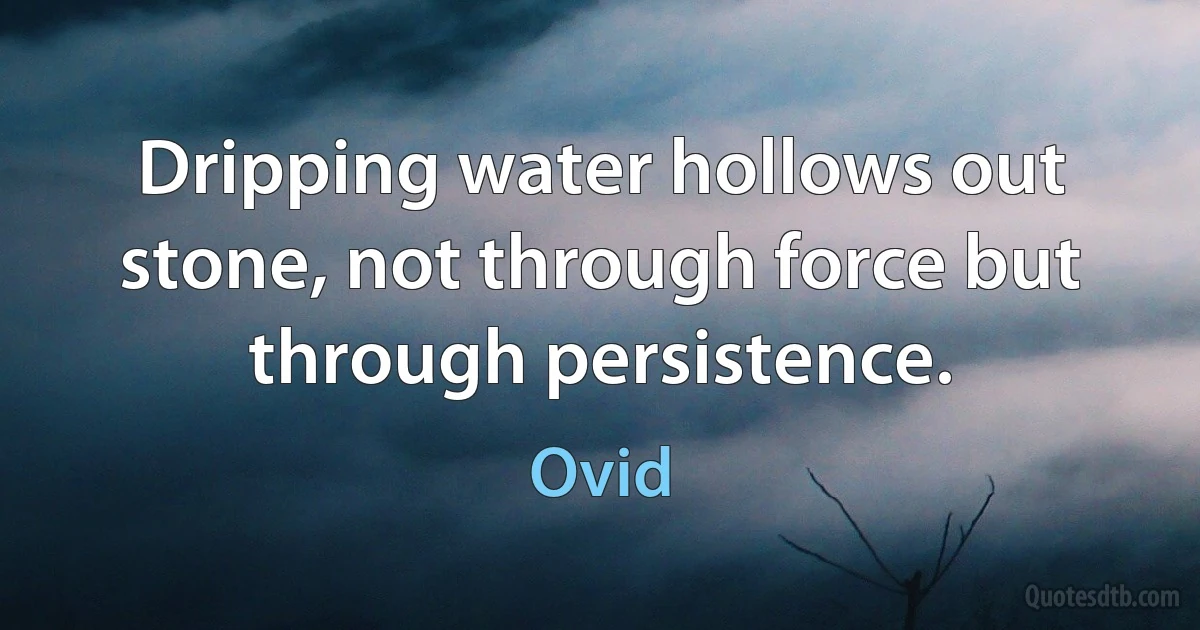 Dripping water hollows out stone, not through force but through persistence. (Ovid)