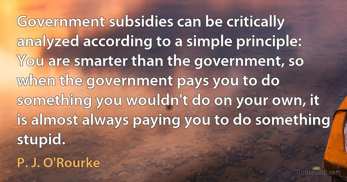 Government subsidies can be critically analyzed according to a simple principle: You are smarter than the government, so when the government pays you to do something you wouldn't do on your own, it is almost always paying you to do something stupid. (P. J. O'Rourke)