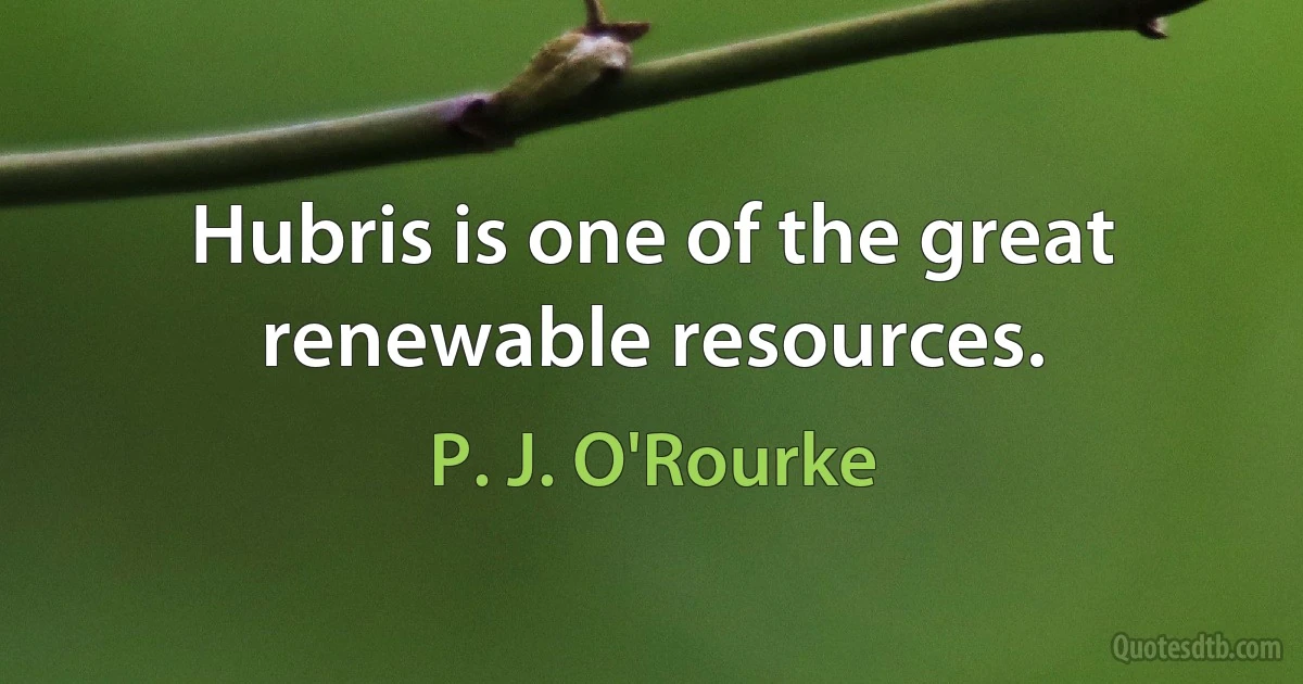 Hubris is one of the great renewable resources. (P. J. O'Rourke)