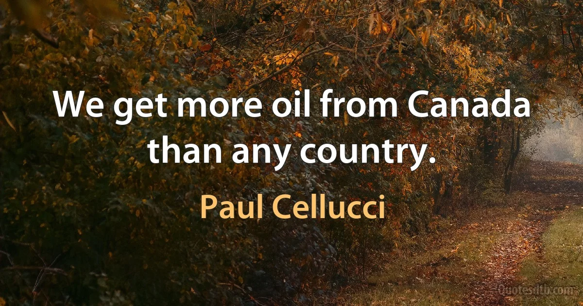 We get more oil from Canada than any country. (Paul Cellucci)