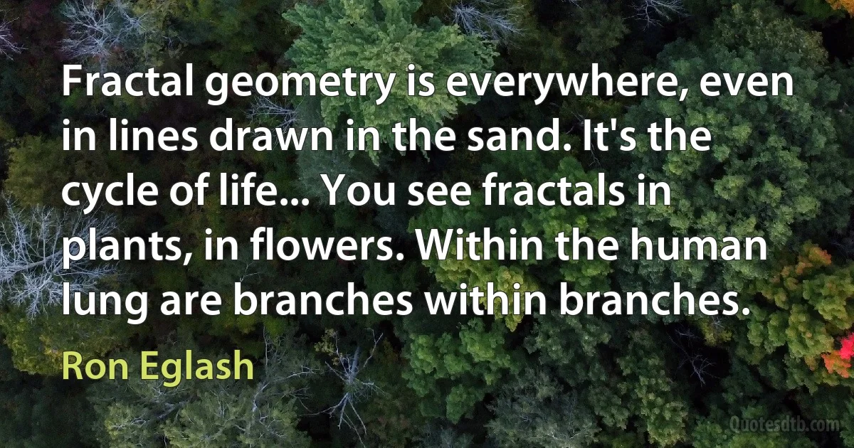 Fractal geometry is everywhere, even in lines drawn in the sand. It's the cycle of life... You see fractals in plants, in flowers. Within the human lung are branches within branches. (Ron Eglash)