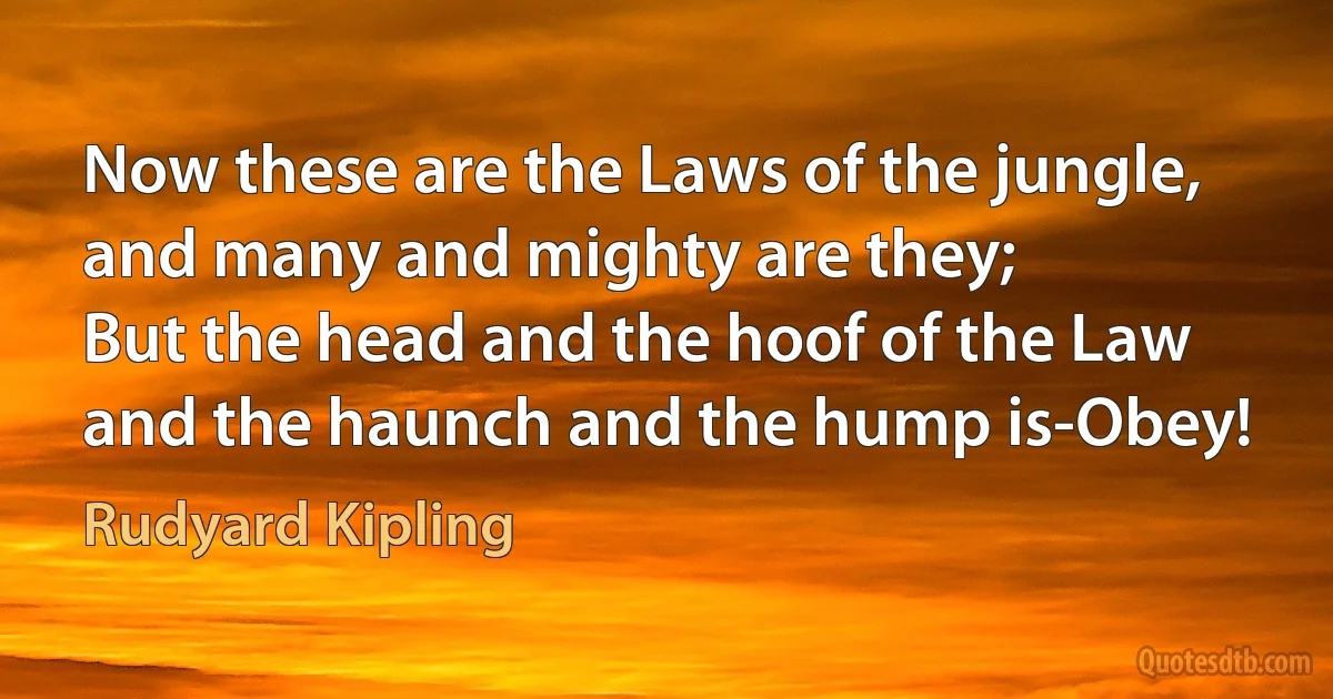 Now these are the Laws of the jungle, and many and mighty are they;
But the head and the hoof of the Law and the haunch and the hump is-Obey! (Rudyard Kipling)