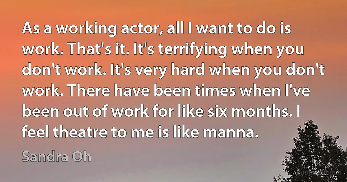 As a working actor, all I want to do is work. That's it. It's terrifying when you don't work. It's very hard when you don't work. There have been times when I've been out of work for like six months. I feel theatre to me is like manna. (Sandra Oh)