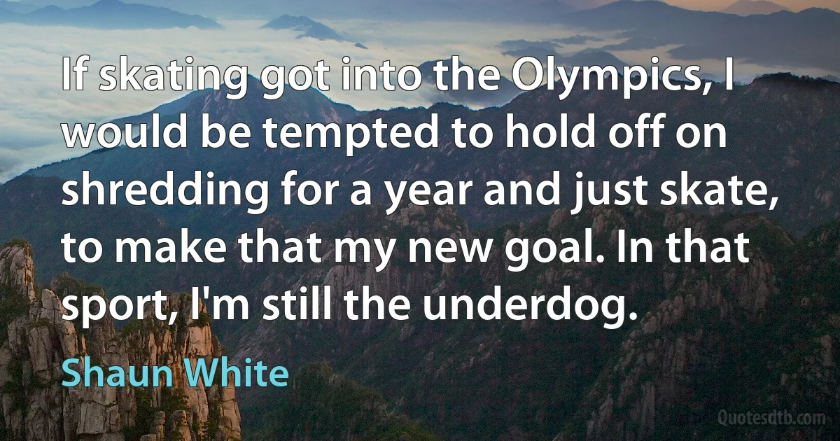 If skating got into the Olympics, I would be tempted to hold off on shredding for a year and just skate, to make that my new goal. In that sport, I'm still the underdog. (Shaun White)