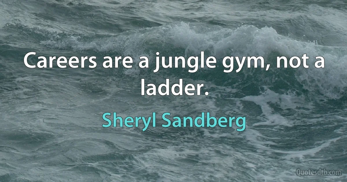 Careers are a jungle gym, not a ladder. (Sheryl Sandberg)