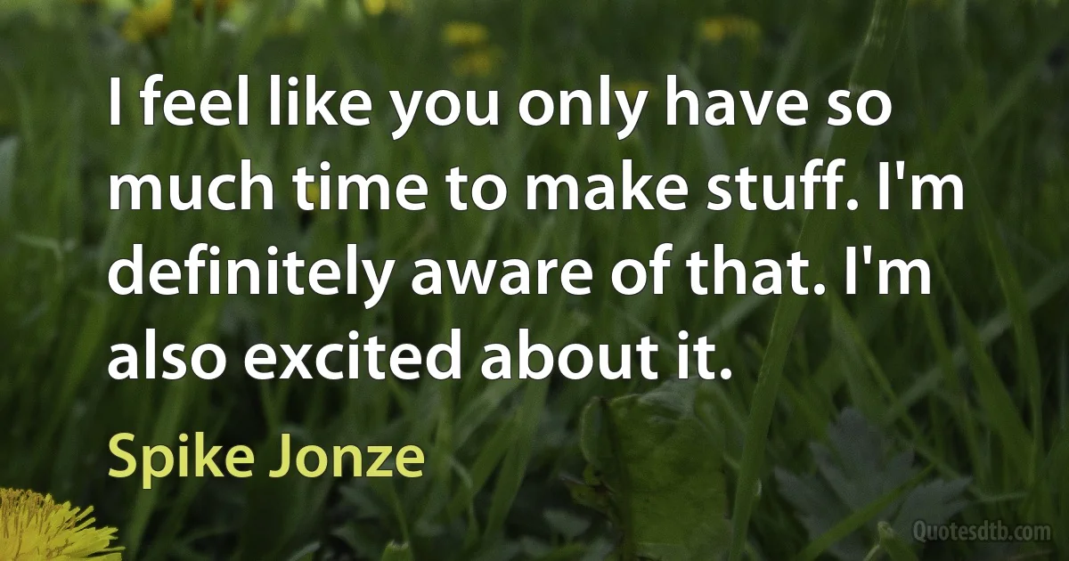 I feel like you only have so much time to make stuff. I'm definitely aware of that. I'm also excited about it. (Spike Jonze)