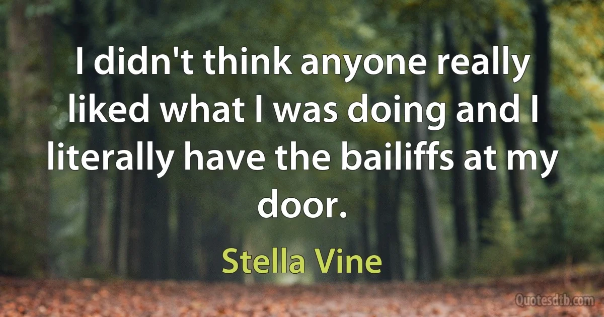 I didn't think anyone really liked what I was doing and I literally have the bailiffs at my door. (Stella Vine)