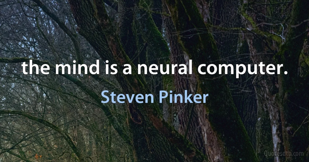 the mind is a neural computer. (Steven Pinker)