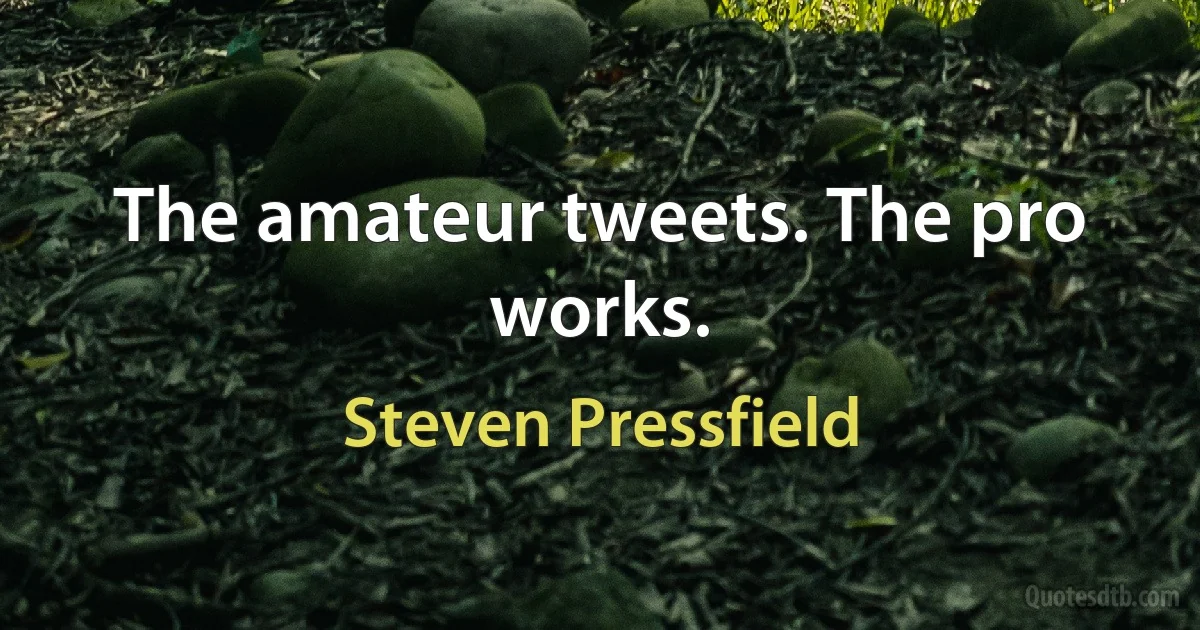 The amateur tweets. The pro works. (Steven Pressfield)