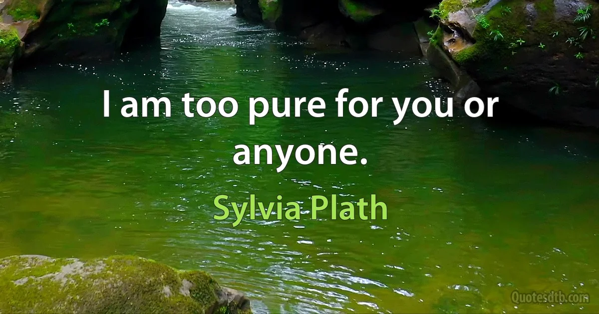 I am too pure for you or anyone. (Sylvia Plath)