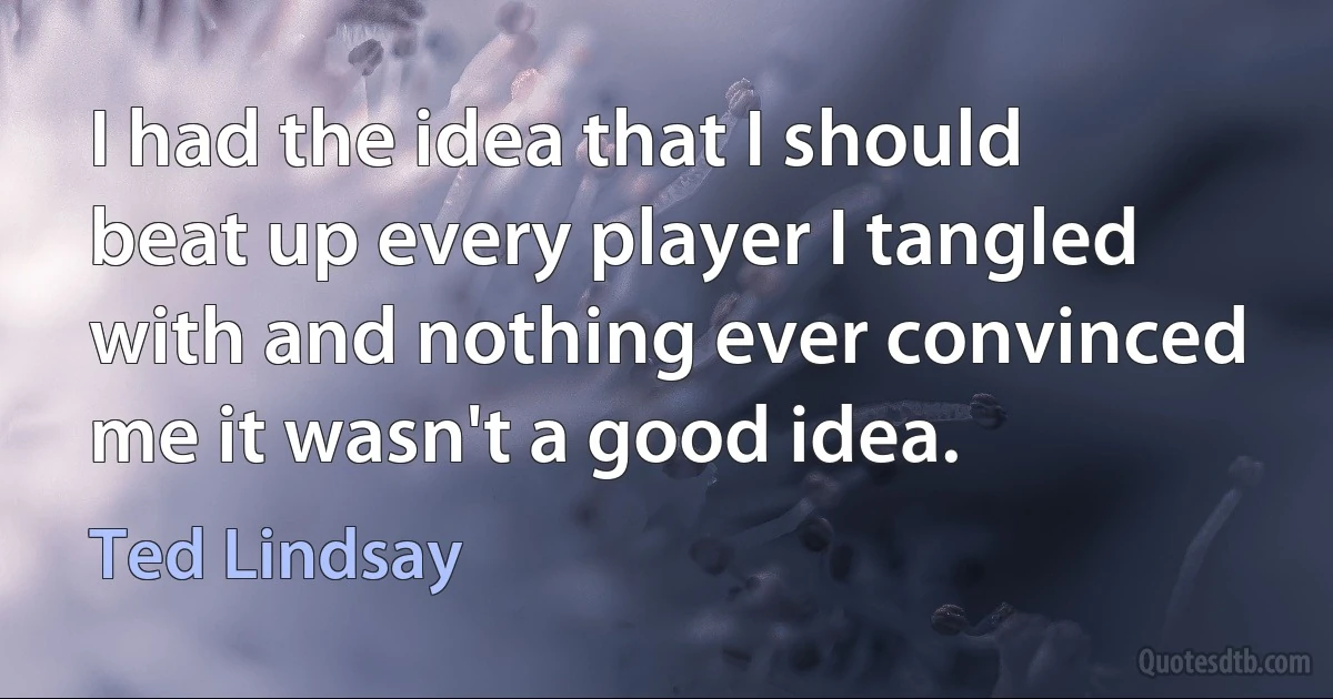 I had the idea that I should beat up every player I tangled with and nothing ever convinced me it wasn't a good idea. (Ted Lindsay)