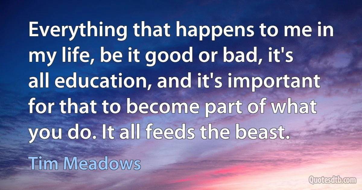 Everything that happens to me in my life, be it good or bad, it's all education, and it's important for that to become part of what you do. It all feeds the beast. (Tim Meadows)