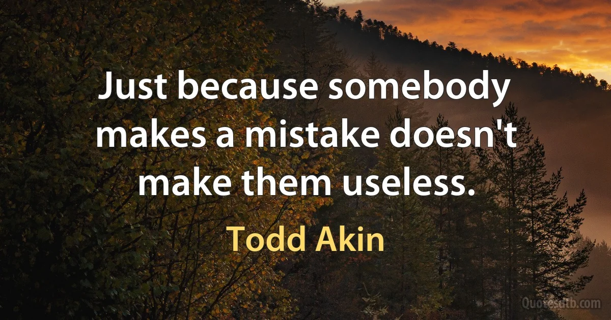 Just because somebody makes a mistake doesn't make them useless. (Todd Akin)