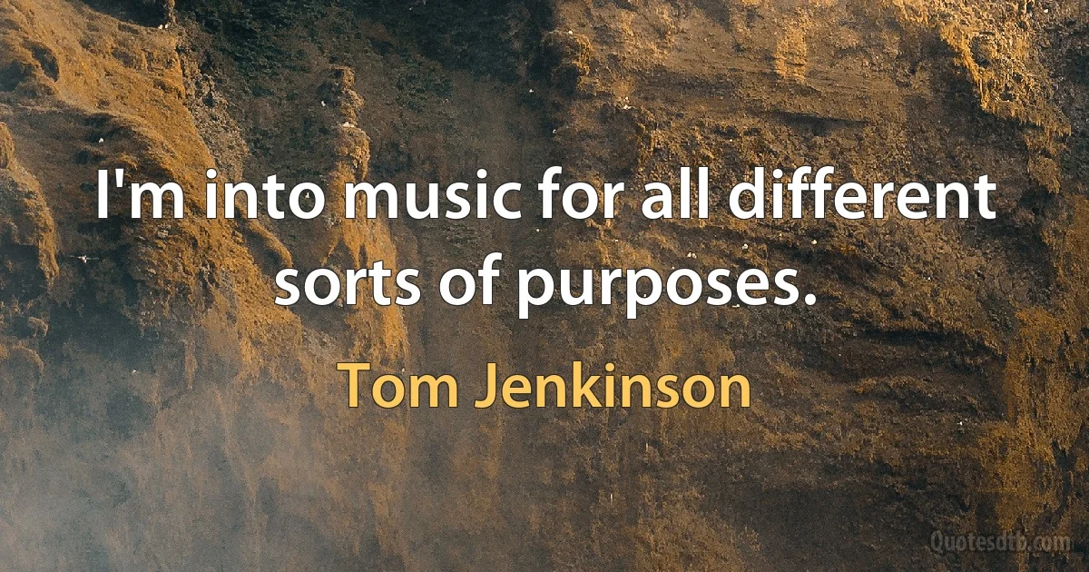 I'm into music for all different sorts of purposes. (Tom Jenkinson)