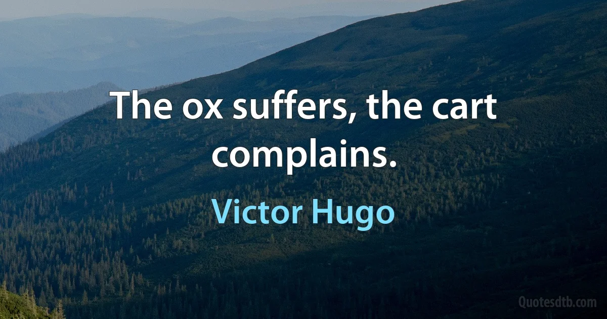 The ox suffers, the cart complains. (Victor Hugo)