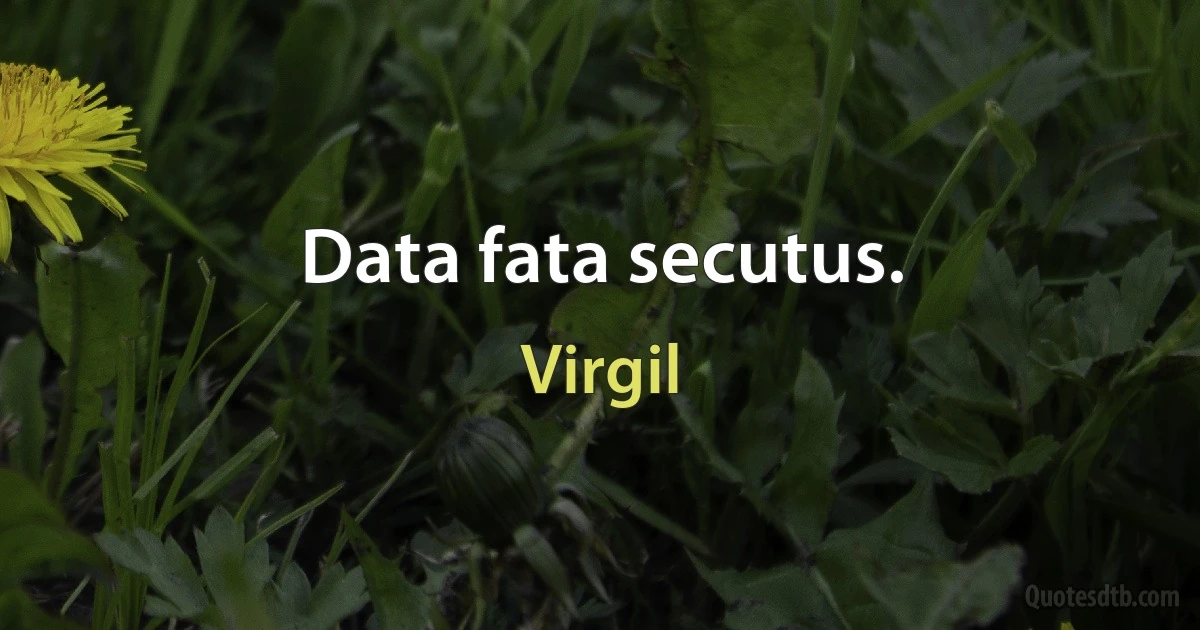 Data fata secutus. (Virgil)