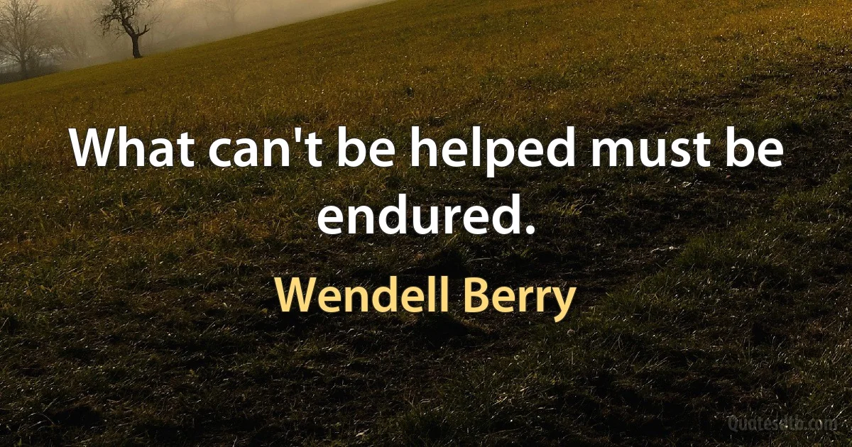 What can't be helped must be endured. (Wendell Berry)