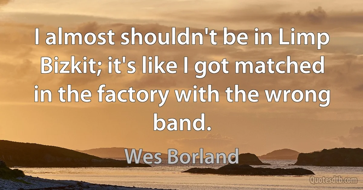 I almost shouldn't be in Limp Bizkit; it's like I got matched in the factory with the wrong band. (Wes Borland)