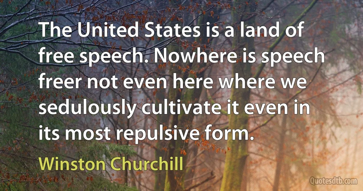 The United States is a land of free speech. Nowhere is speech freer not even here where we sedulously cultivate it even in its most repulsive form. (Winston Churchill)