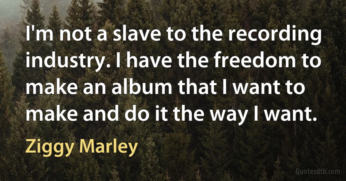 I'm not a slave to the recording industry. I have the freedom to make an album that I want to make and do it the way I want. (Ziggy Marley)