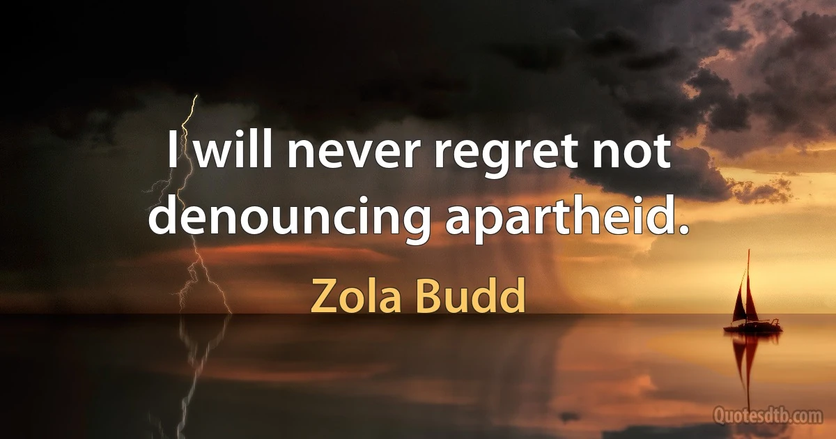 I will never regret not denouncing apartheid. (Zola Budd)